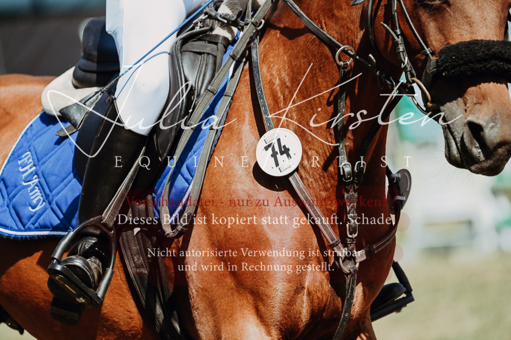 DSC_9616 | Pferde- und Turnierfotografie in Westsachsen. Pferdeportraits, Auftragszeichnungen und intuitive Kunst.