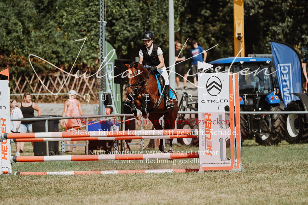 DSC_9973 | Pferde- und Turnierfotografie in Westsachsen. Pferdeportraits, Auftragszeichnungen und intuitive Kunst.