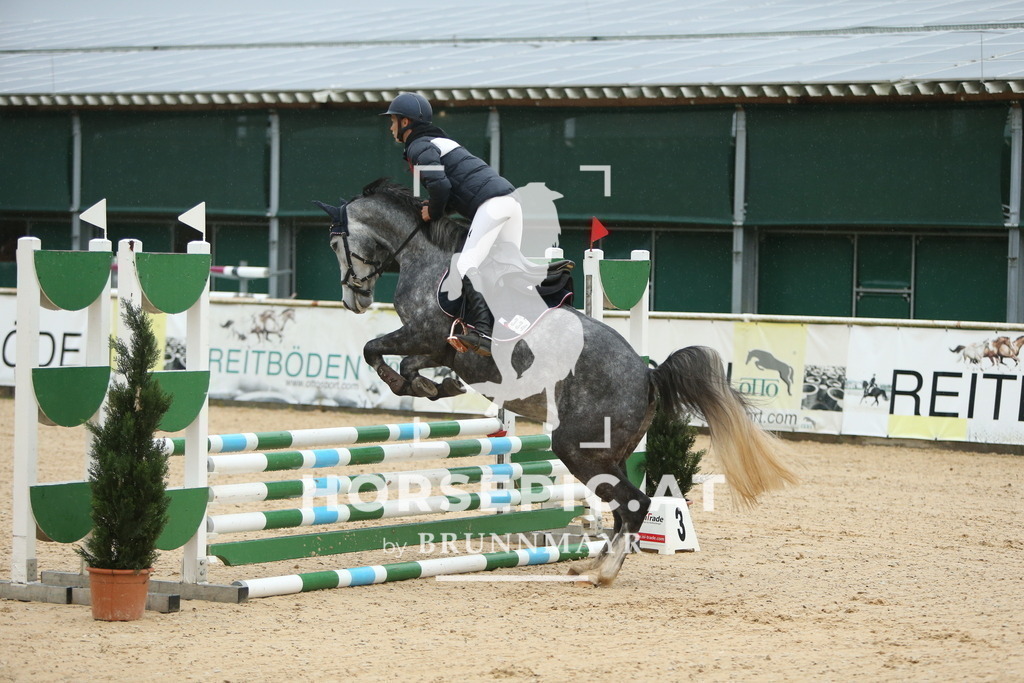DL2Q0074 | Willkommen bei Brunnmayr - Design & Fotografie – Ihrem Spezialisten für Reitturniere und Pferdeveranstaltungen in Oberösterreich, Salzburg und Bayern! Seit über 17 Jahren sind wir leidenschaftlich dabei.