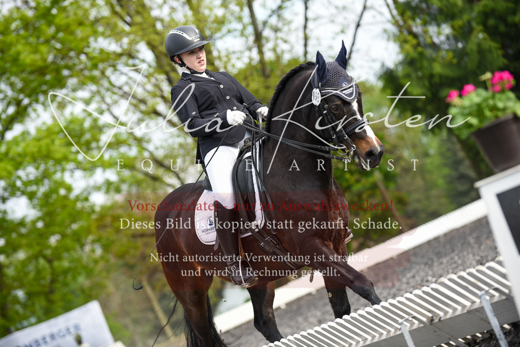 20230513_JK-Röhrsdorf-17-209 | Pferde- und Turnierfotografie in Westsachsen. Pferdeportraits, Auftragszeichnungen und intuitive Kunst.