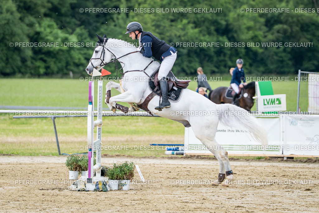 DSC04256 | Pferdegrafie