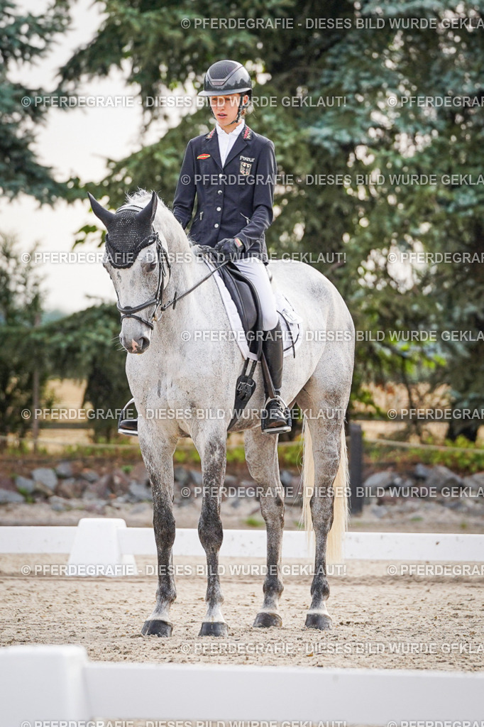 DSC00097 | Pferdegrafie