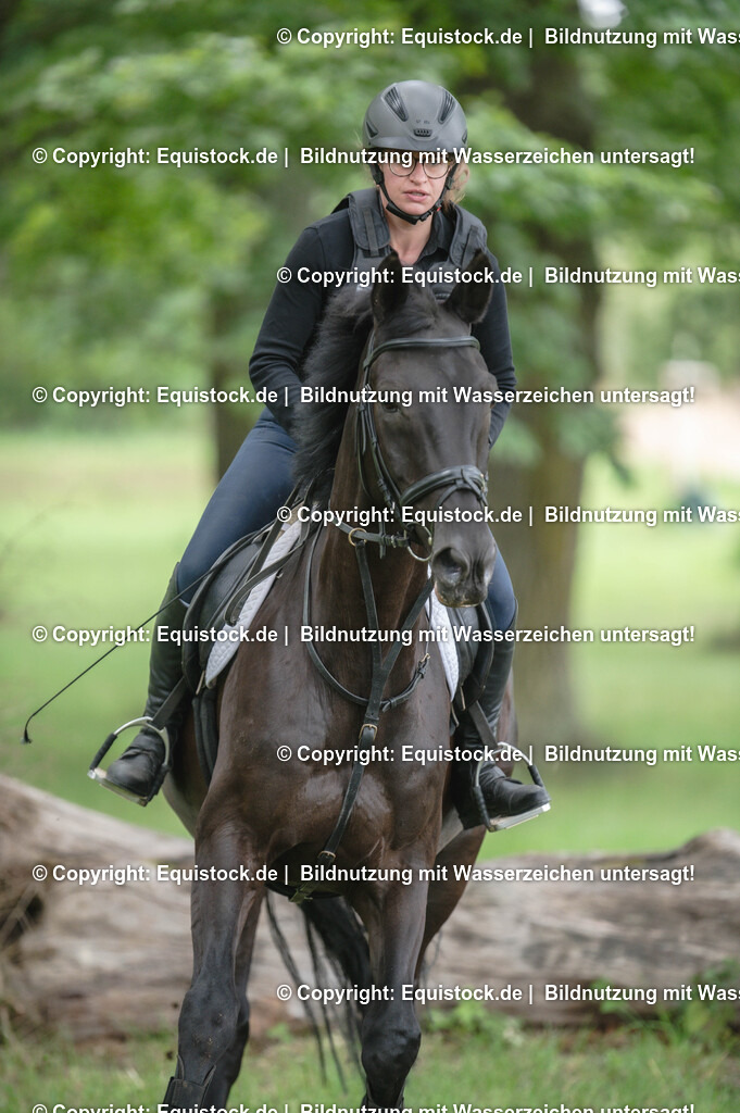 20250726_Vielseitigkeitslehrgang-Marbach_0751 | Foto: Thomas Hartig