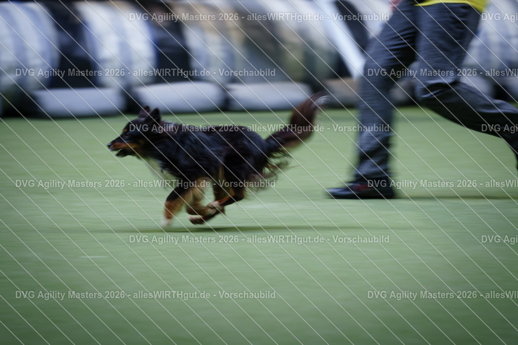 allesWIRTHgut_Tierfotografie-DVG_Agility_Masters_2026-13_39-7R503684 | Professionelle Tierfotografie in Mönchengladbach von Daniel Wirth (allesWIRTHgut). Liebevolle & natürliche Bilder von Hunden & Katzen für unvergessliche Erinnerungen.