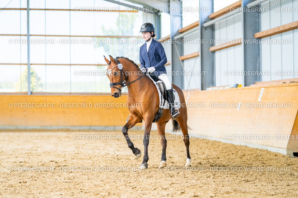 DSC07926 | Pferdegrafie