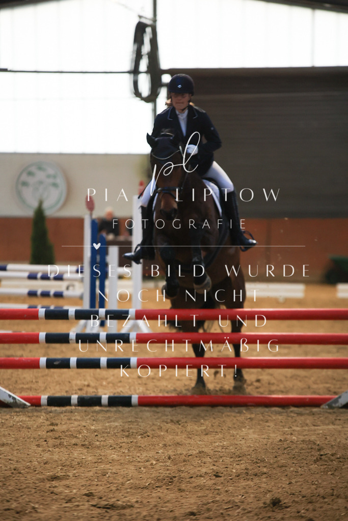 IMGT1605 - Kopie | pl-fotografie