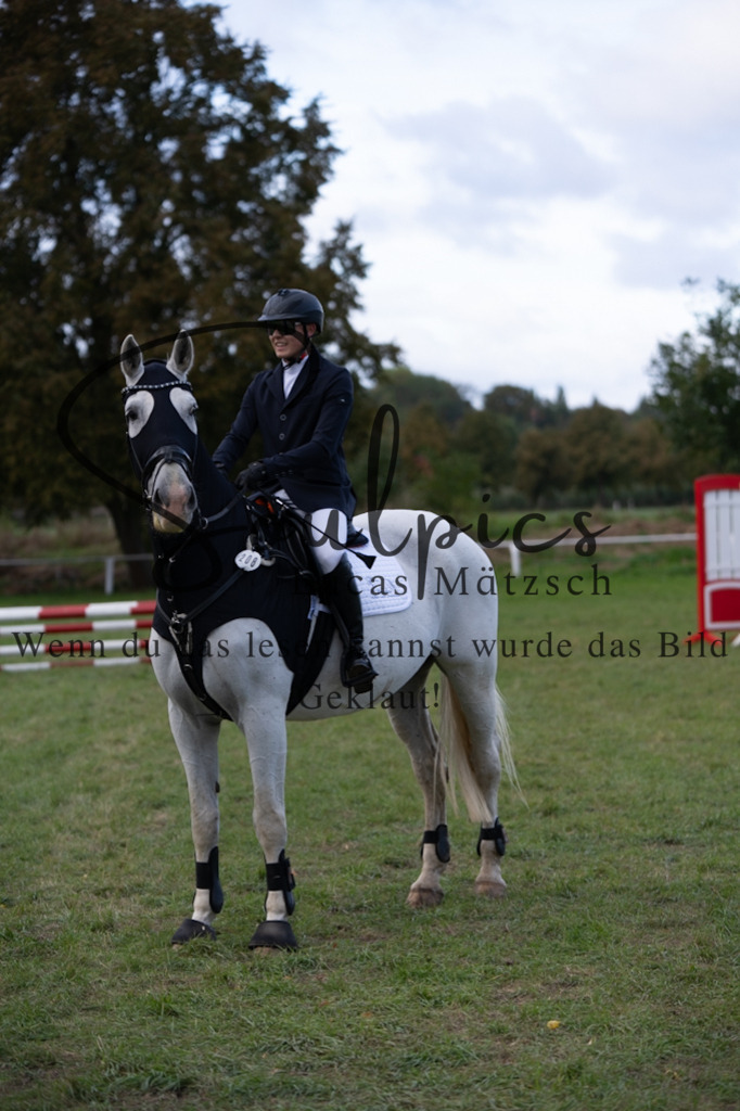 A7V06440 | Pferdefotograf