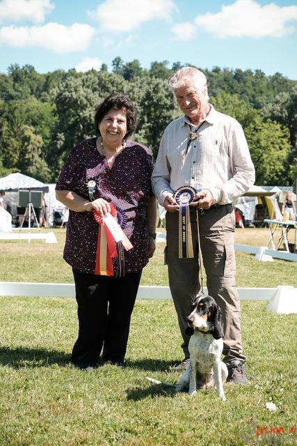 CACIB Aarau | CACIB Aarau, Swiss Dog Show  28062025 Foto: Leo Wyden
