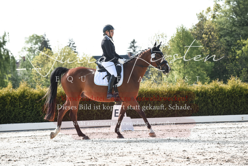 20230518_JK-Röhrsdorf-09-0865 | Pferde- und Turnierfotografie in Westsachsen. Pferdeportraits, Auftragszeichnungen und intuitive Kunst.