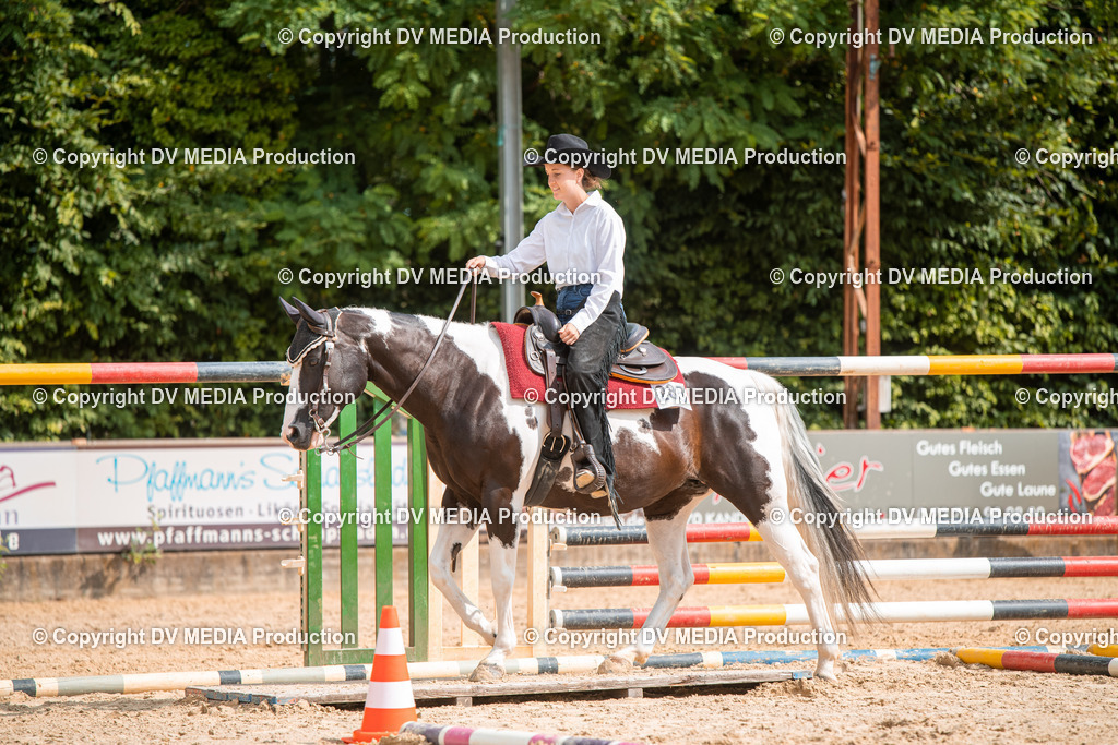 ZS2_7705 | dv-media-shop - Realisiert mit Pictrs.com