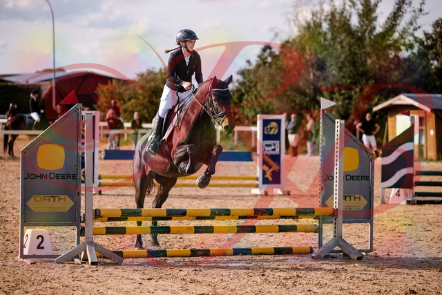 2026_10_03_Siefer-Hof_154911_Z81_67520818 | Professionelle Reitsport-, Turnier- und Eventfotografie von Robert Broda. Galerien mit ausgewählten und bearbeiteten Bildern direkt online ansehen und bestellen.