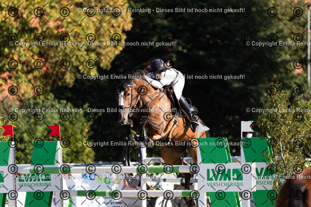 CL5A8091 | Emilia Reinking Fotografie - Realisiert mit Pictrs.com