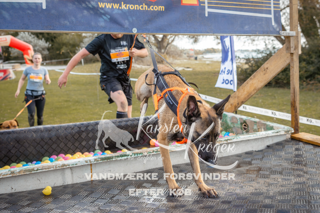 1414_ZZ94018-2 | kk-dogfotos