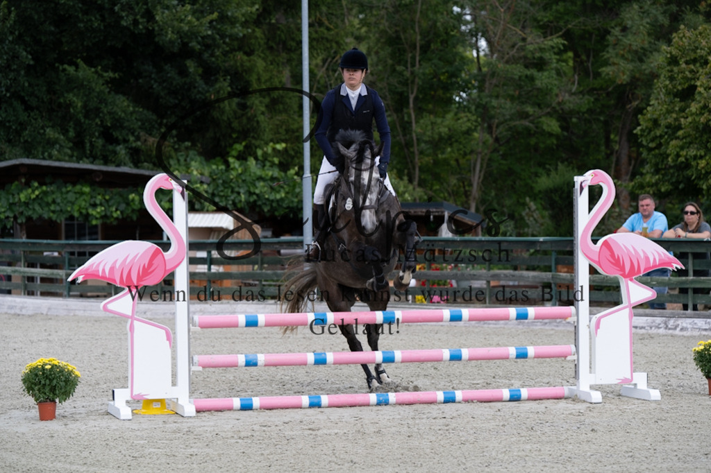 A7V07276 | Pferdefotograf