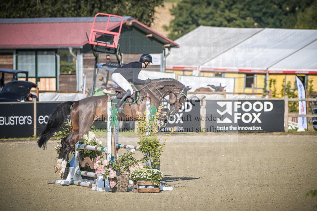 DOS_8754 | Entdecke hochwertige Reitturnierfotos von Foto Oger. Professionell, emotional und authentisch – jetzt Lieblingsmomente im Shop bestellen.Deutschlandweite Turnierfotografie. - Realisiert mit Pictrs.com