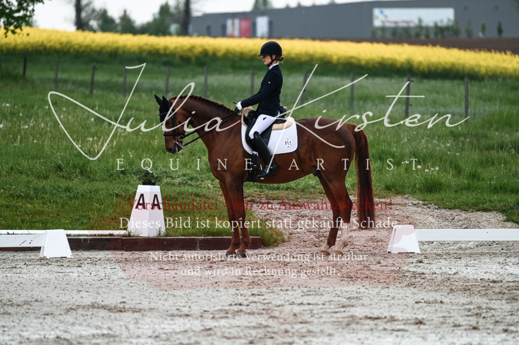 DSC_4246 | Pferde- und Turnierfotografie in Westsachsen. Pferdeportraits, Auftragszeichnungen und intuitive Kunst.