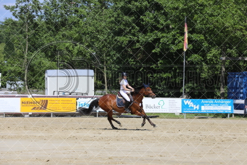 IMG_5300 | photographesa-joergens - Realisiert mit Pictrs.com