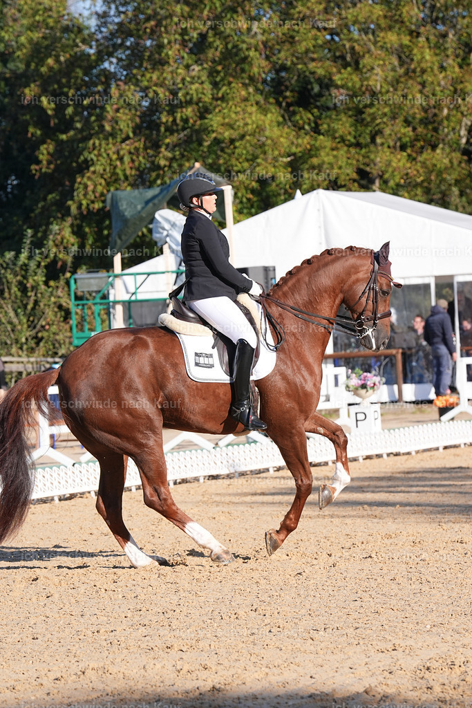 09_1-230-DRESSUR  S_  -Marixx-5663 | working equitationturnier fotograf videograf stoibphotography marixx film working equitation deutschland reitsport turnierfotografie eventfotografie equestrian events