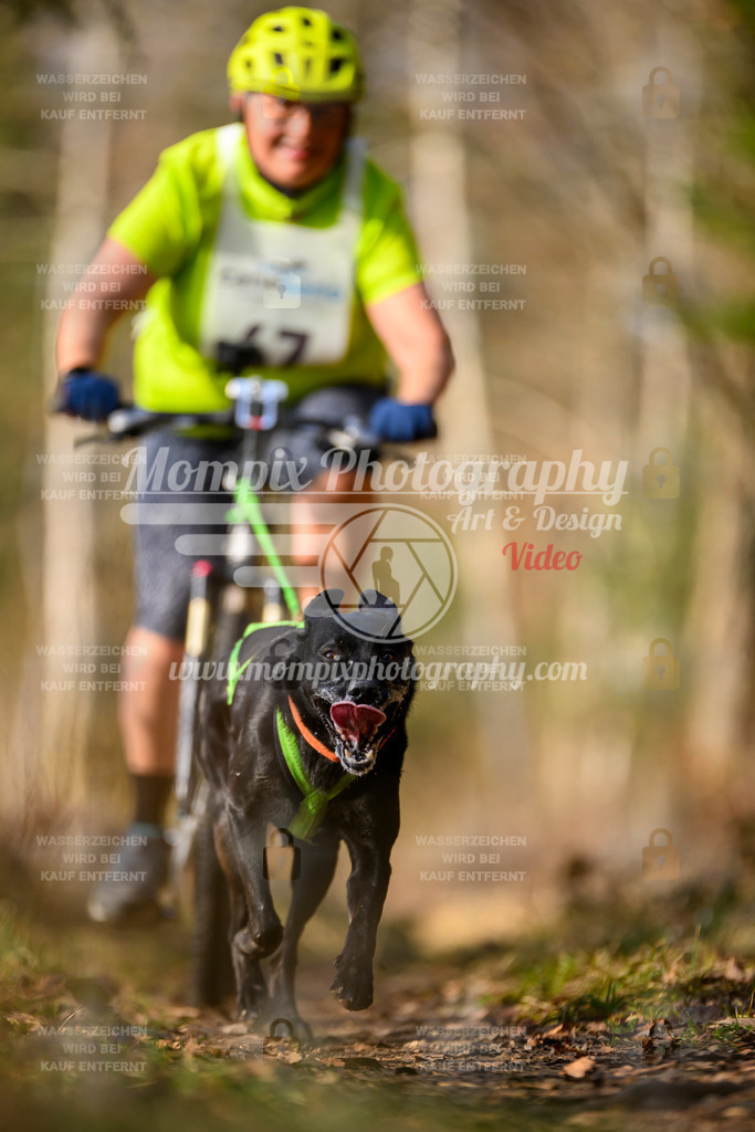 MompixPhotography_6ReiatRennen2026_SO_Bike-90 | PayLife