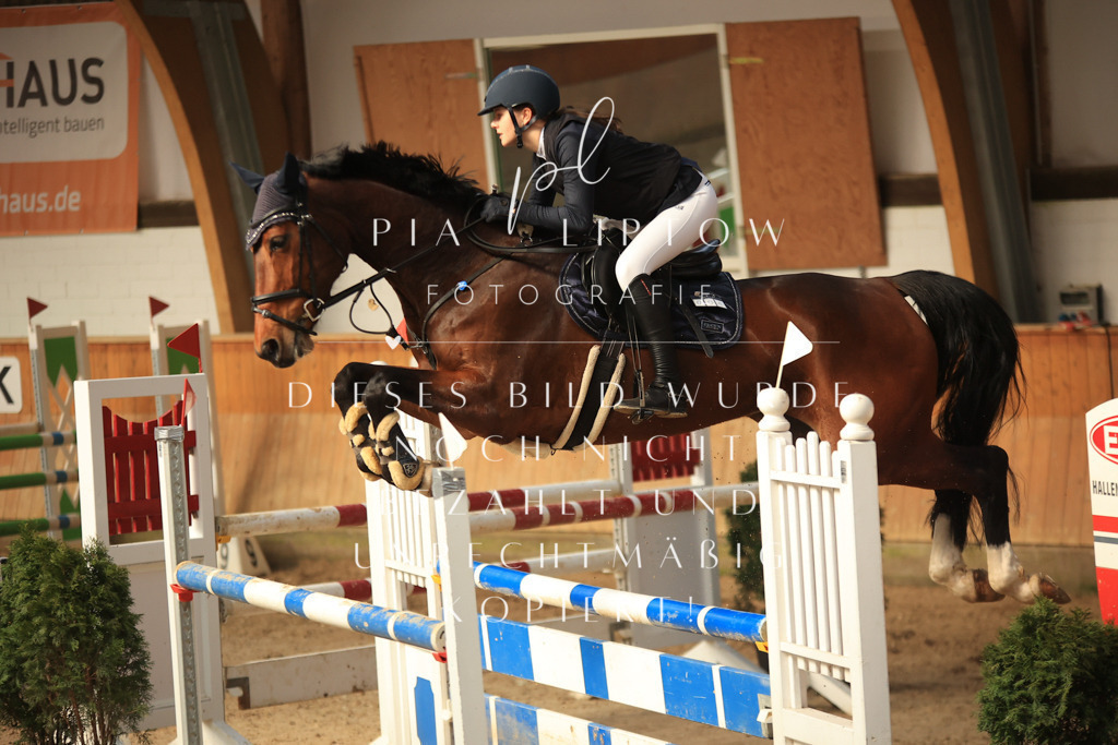 IMGT0149 | pl-fotografie