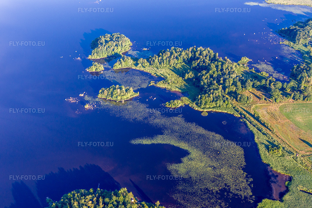 Vue aérienne: Nénuphars du lac Åsnen aux eaux couleur lande, dans le Småland à Skäggalösa dans le département Kronoberg, Suède.Photo: IMG_108096.jpg prise le 28/06/2018 par Werner Riehm/FLY-FOTO.euRésolution de l'original: 5472 x 3648 px