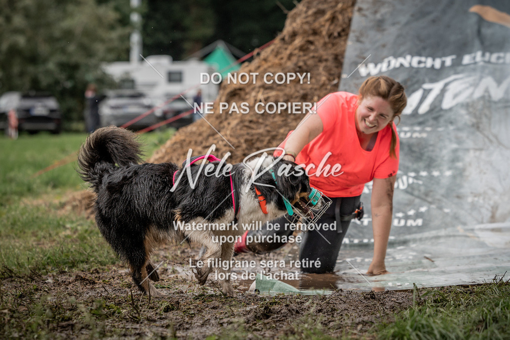 nelerasche_Wingst_Sa1300-1330_183 | nelerasche