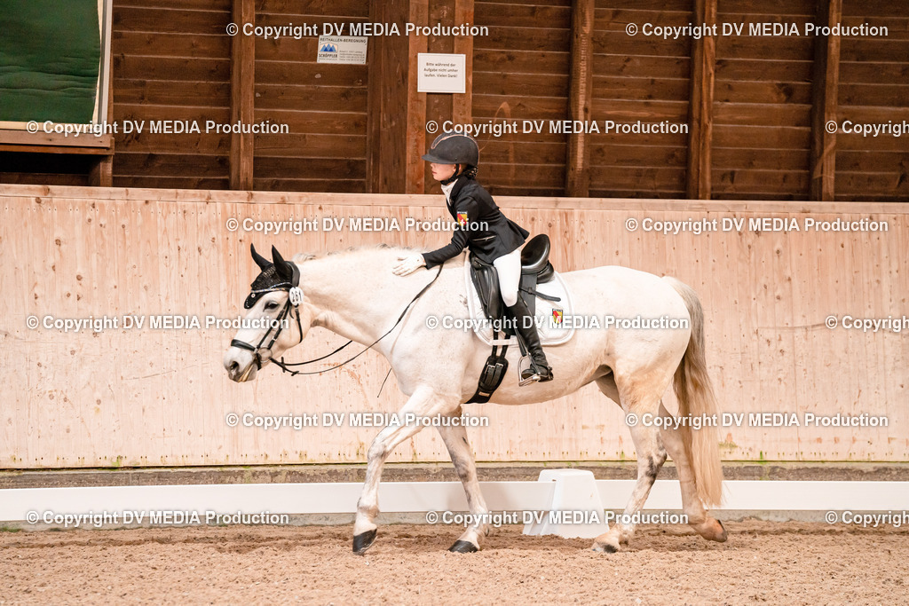 Dressur Tag 2-18 | dv-media-shop - Realisiert mit Pictrs.com
