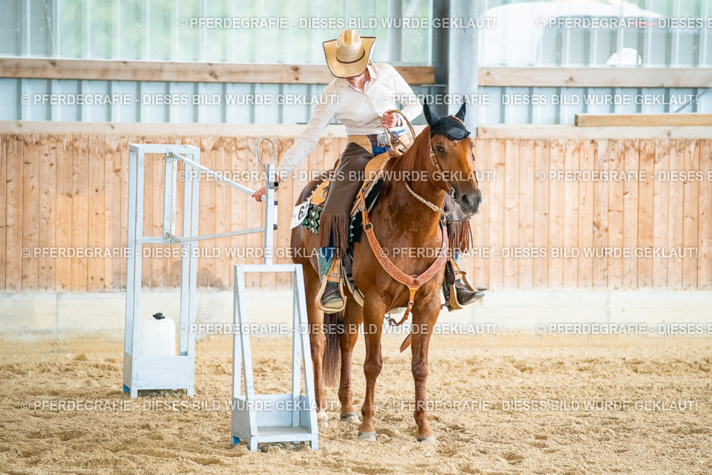 DSC07363 | Pferdegrafie