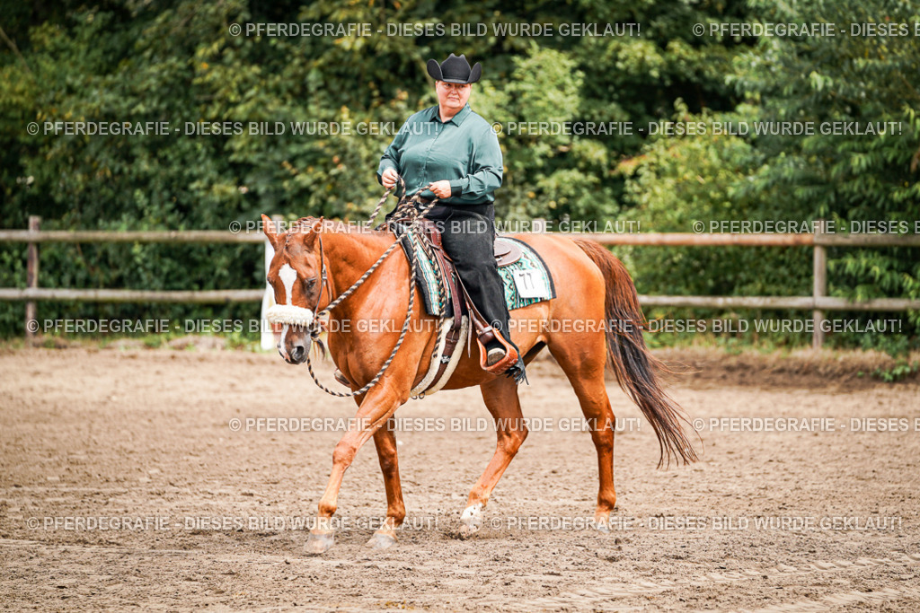 DSC04733 | Pferdegrafie