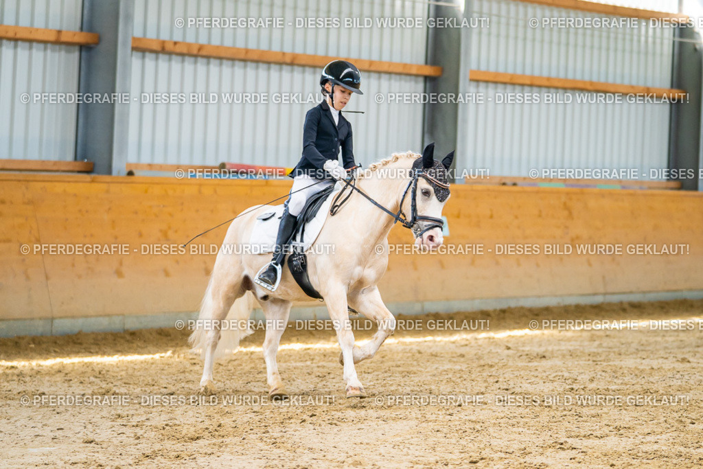 DSC07454 | Pferdegrafie