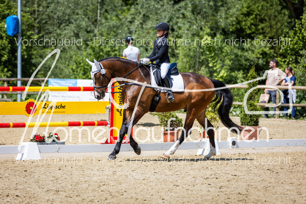 Donop24-RWB-053 | MomenTaufnahmen Pferdesportfotos