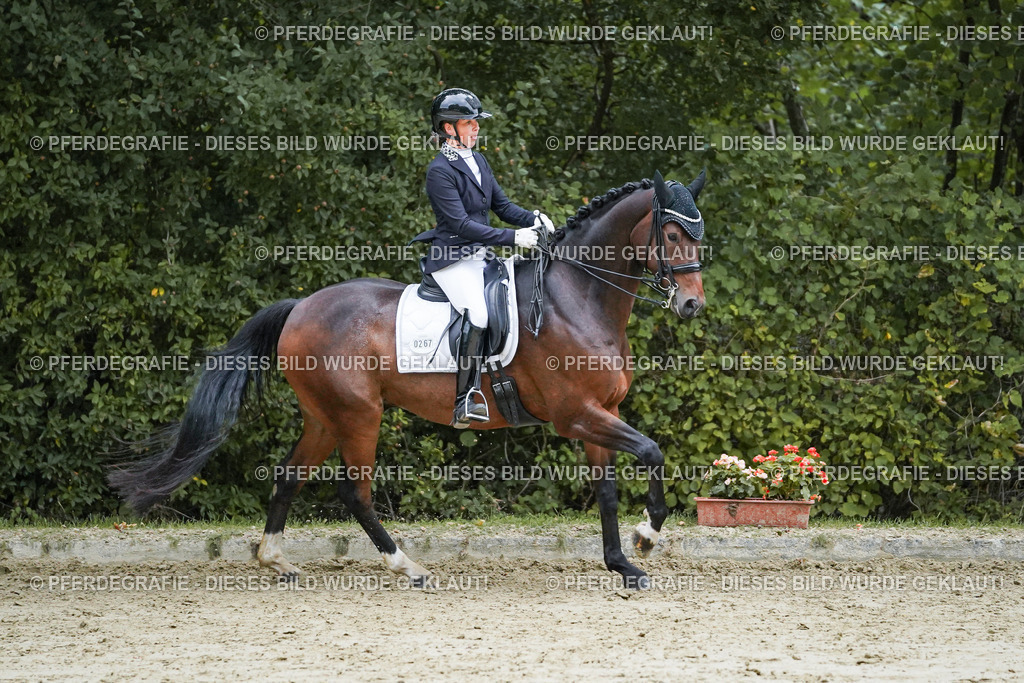 DSC00326 | Pferdegrafie