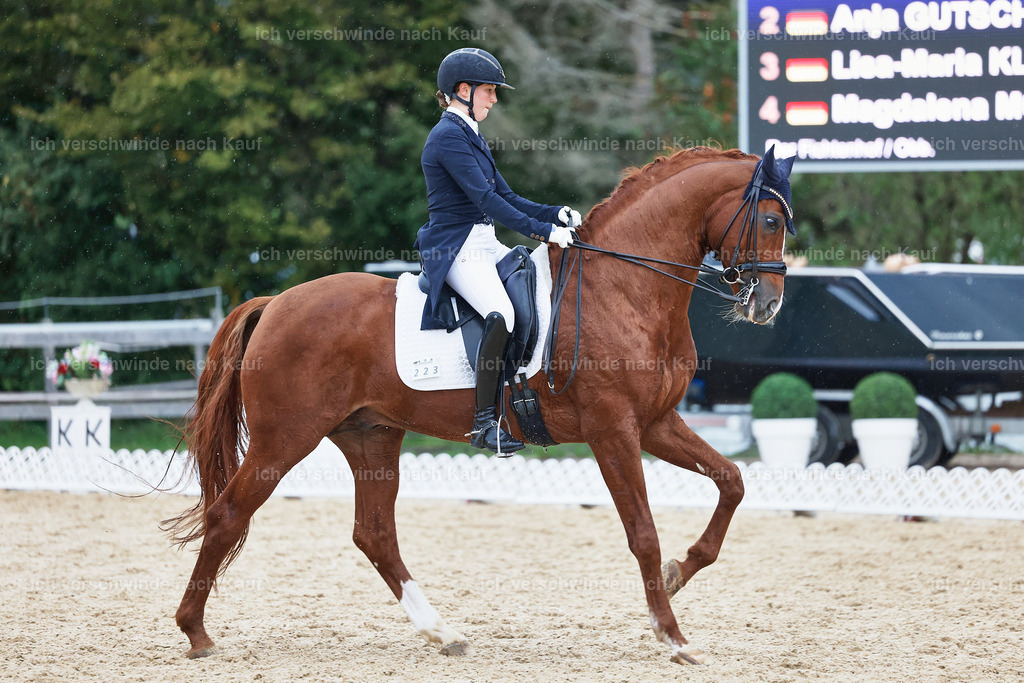 8_1-223-Klasse S_  -StoibPH-3955 | working equitationturnier fotograf videograf stoibphotography marixx film working equitation deutschland reitsport turnierfotografie eventfotografie equestrian events