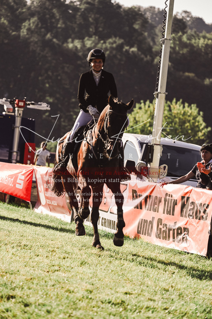 DSC_4647 | Pferde- und Turnierfotografie in Westsachsen. Pferdeportraits, Auftragszeichnungen und intuitive Kunst.