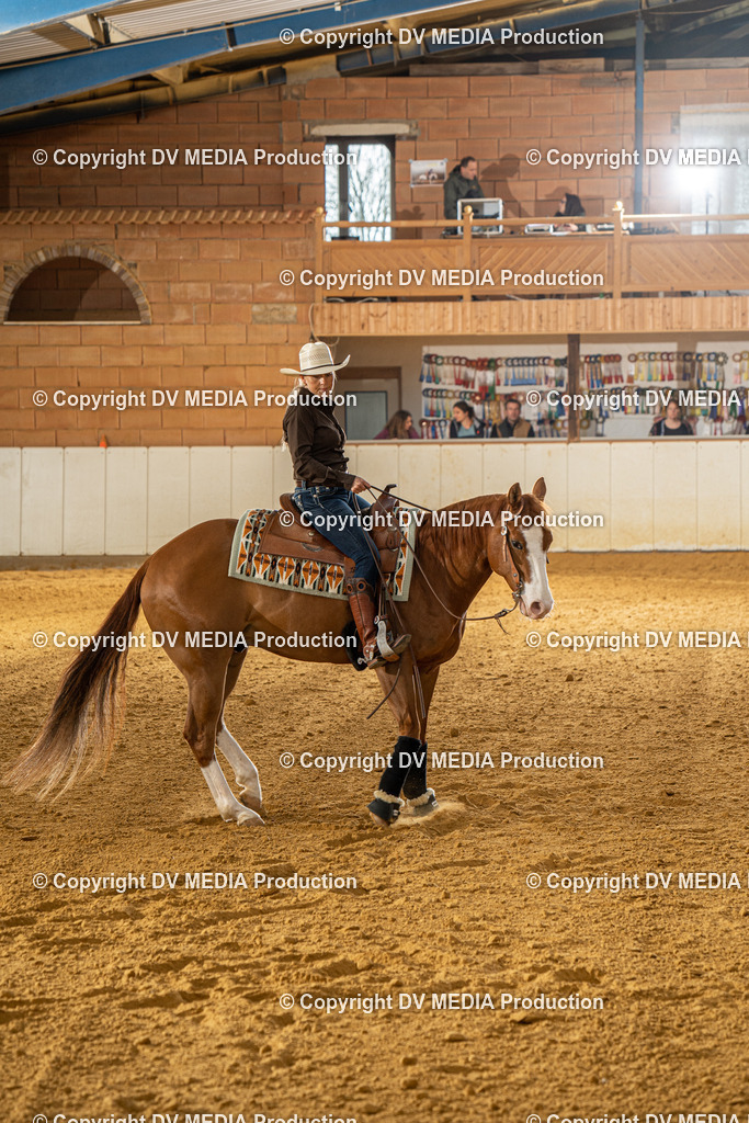 MIT00650 | dv-media-shop - Realisiert mit Pictrs.com