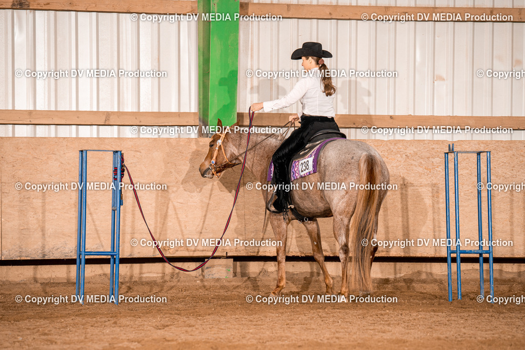 BA300722 | dv-media-shop - Realisiert mit Pictrs.com