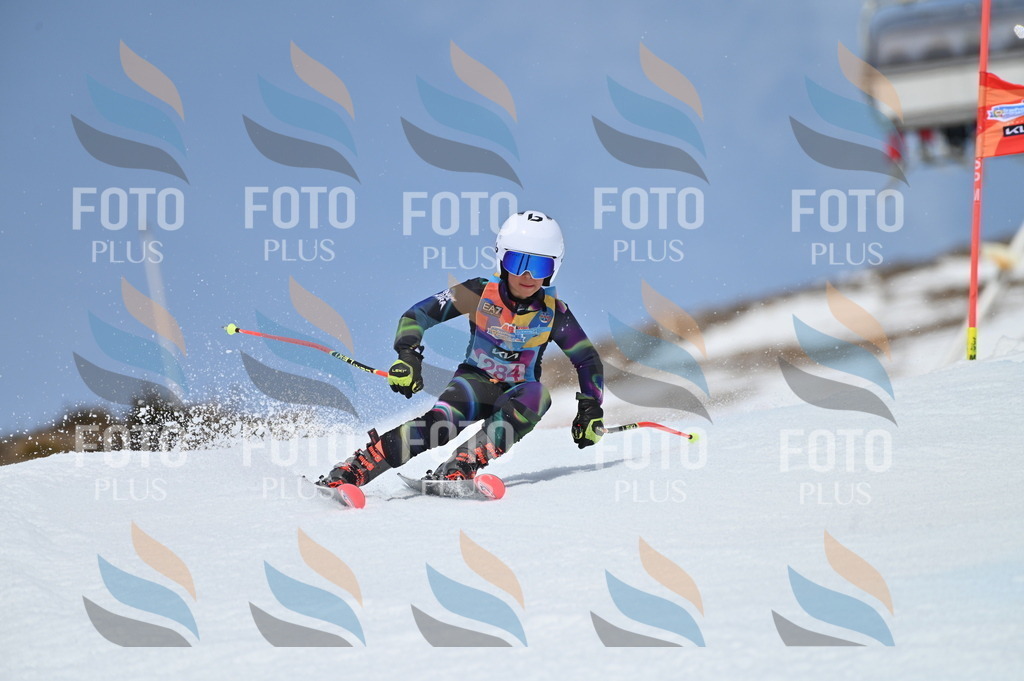 BGV_2481 | holidayphoto