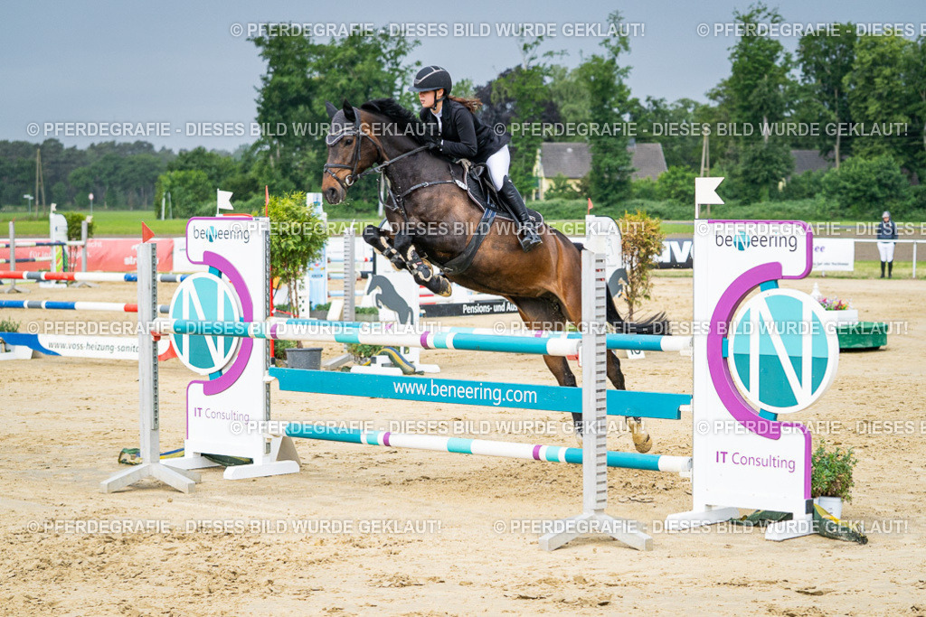 DSC04085 | Pferdegrafie