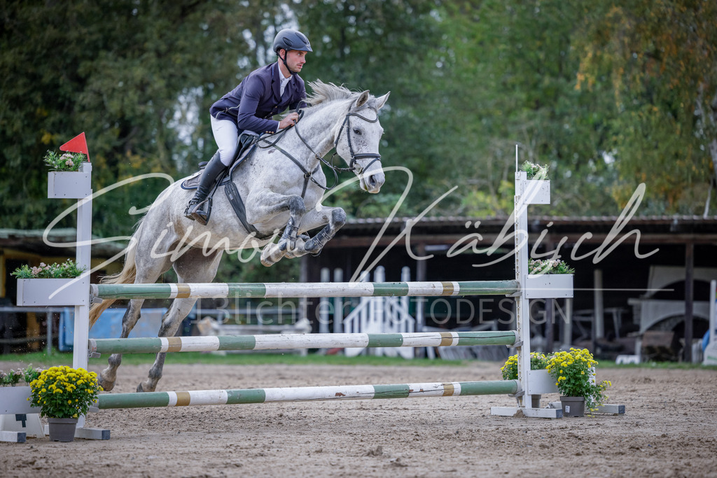 20251012-_3LI5189 | Tierfotografie Pferde, Hunde, Katzen, Haustiere.
Turnierfotografie Reitturniere, Reiten, Springreiten, Dressur in Hanau, dem Main-Kinzig-Kreis und dem Rhein-Main- Gebiet um Frankfurt