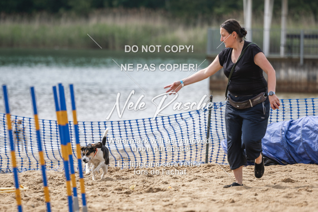 nelerasche_BuHu2026_So1530-Ende_31 | nelerasche