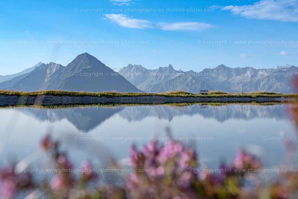 Penken Sommer copyright  Thomas Pfister-8 | PHOTOGRAPHY BY THOMAS PFISTER