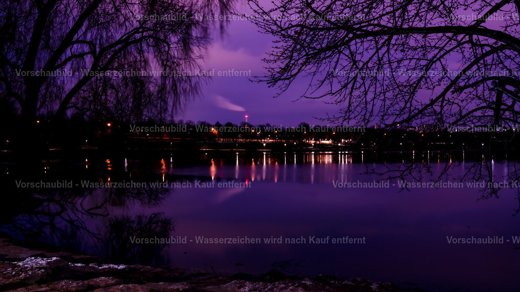 DSC06450 | marcuslinek