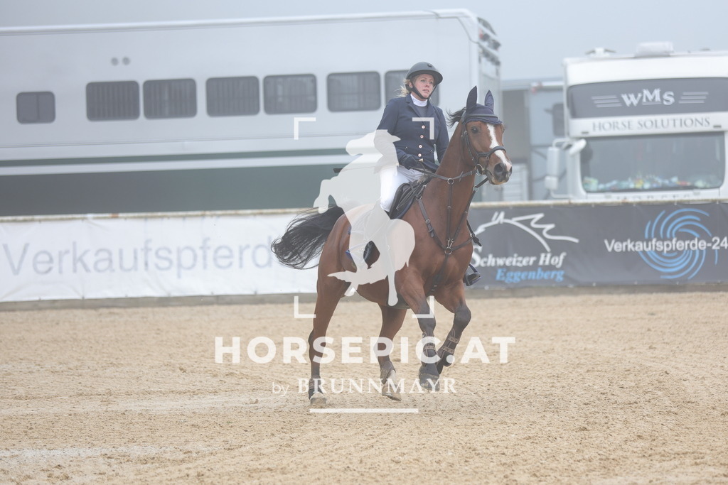 0P6A0435 | Willkommen bei Brunnmayr - Design & Fotografie – Ihrem Spezialisten für Reitturniere und Pferdeveranstaltungen in Oberösterreich, Salzburg und Bayern! Seit über 17 Jahren sind wir leidenschaftlich dabei.