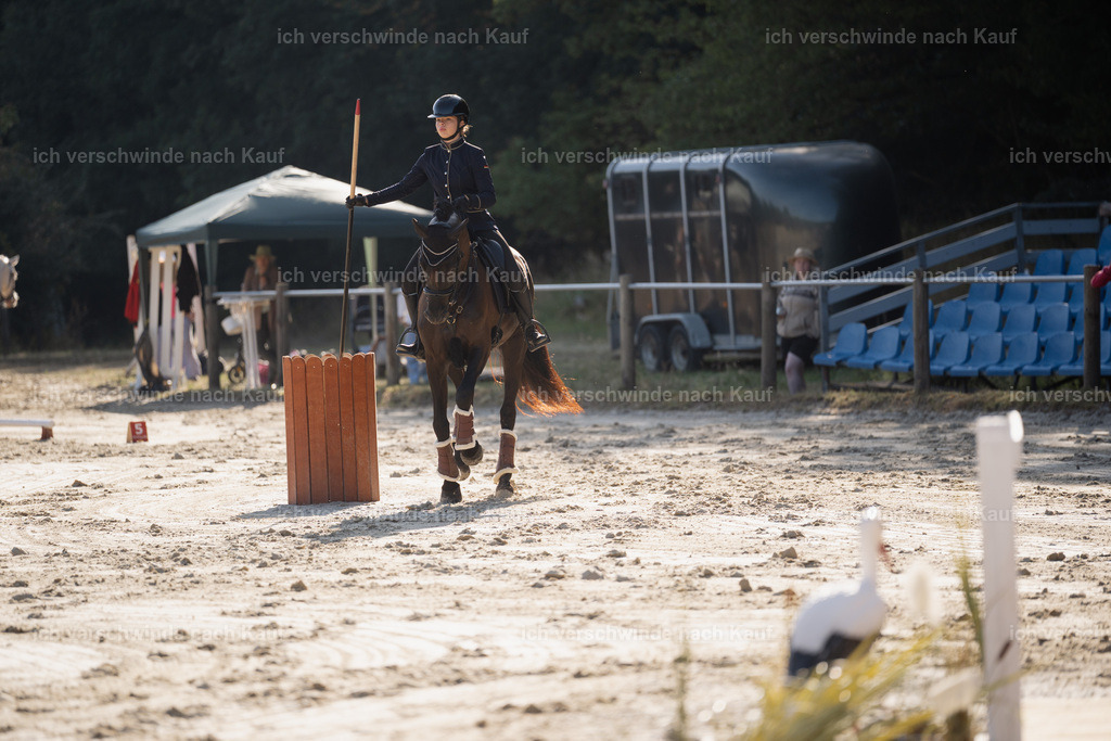 WM_ST_48_stoibphotography__SO10160 | working equitationturnier fotograf videograf stoibphotography marixx film working equitation deutschland reitsport turnierfotografie eventfotografie equestrian events