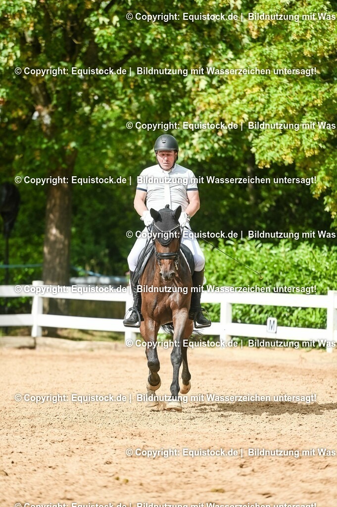 20230716_01_Dressurprüfung Kl.M_0554 | equistock