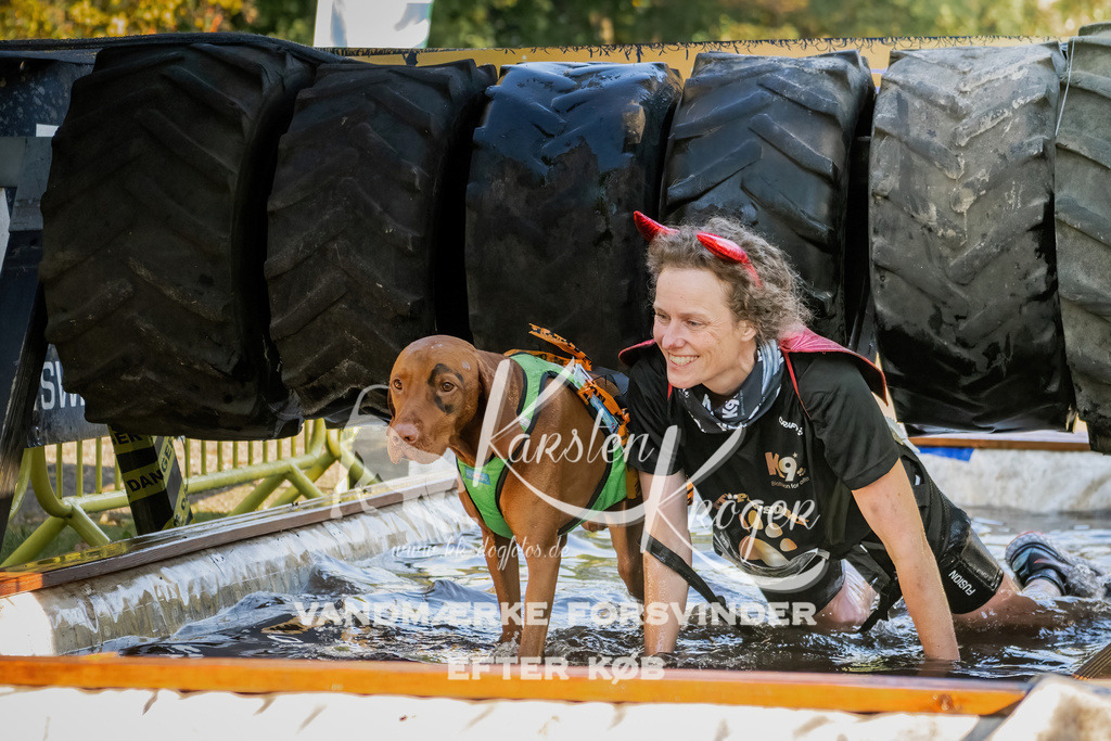 0950_ZZ91972 | kk-dogfotos