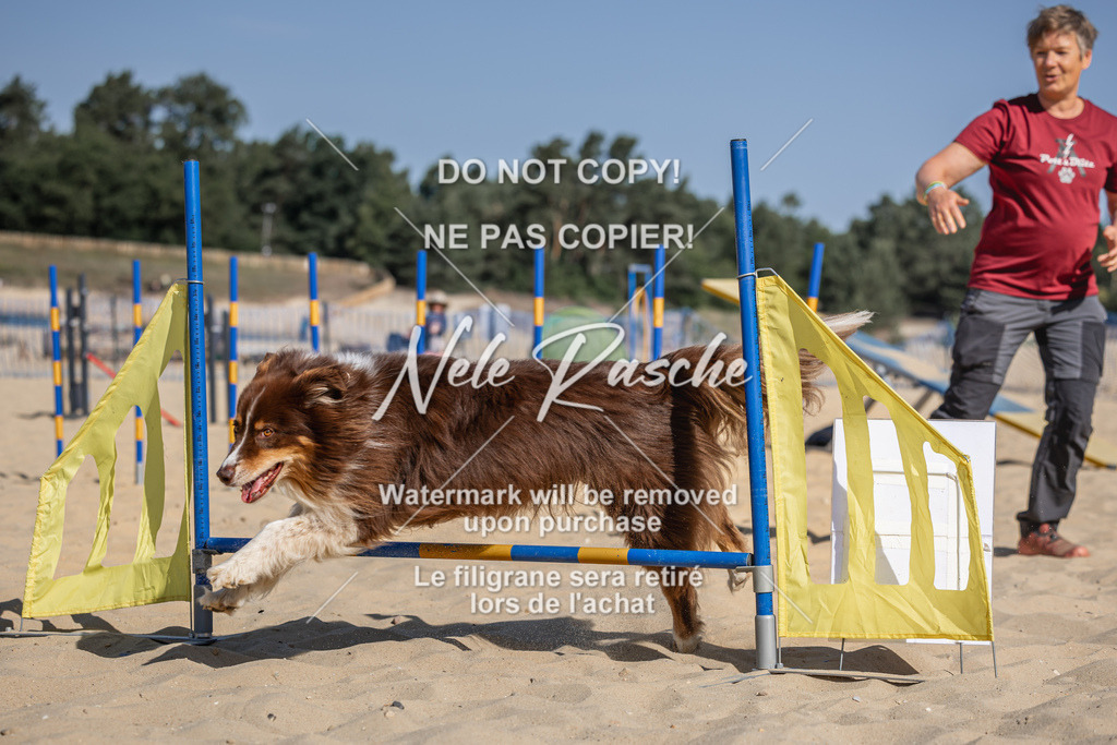 nelerasche_saBeachility_139 | nelerasche