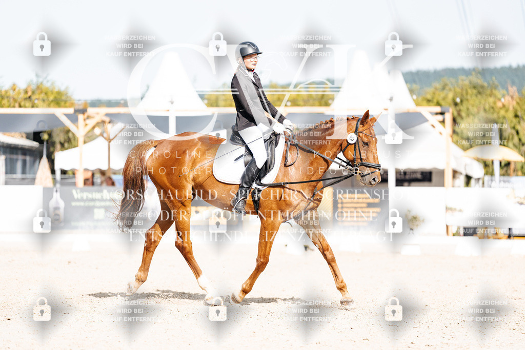 CK905474 | Turnierfotografie Pferdefotografie Trier Rheinland-Pfalz Pferdesport Reitsport Tierfotografie Sportfotografie Pferdevideo Pferdevideografie Equestrianvideography equestrianphotography  - Realisiert mit Pictrs.com