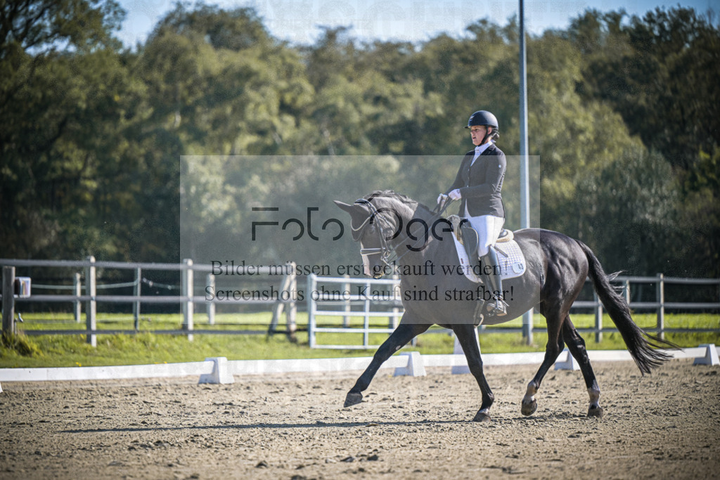 DOS_1861 | Entdecke hochwertige Reitturnierfotos von Foto Oger. Professionell, emotional und authentisch – jetzt Lieblingsmomente im Shop bestellen.Deutschlandweite Turnierfotografie. - Realisiert mit Pictrs.com