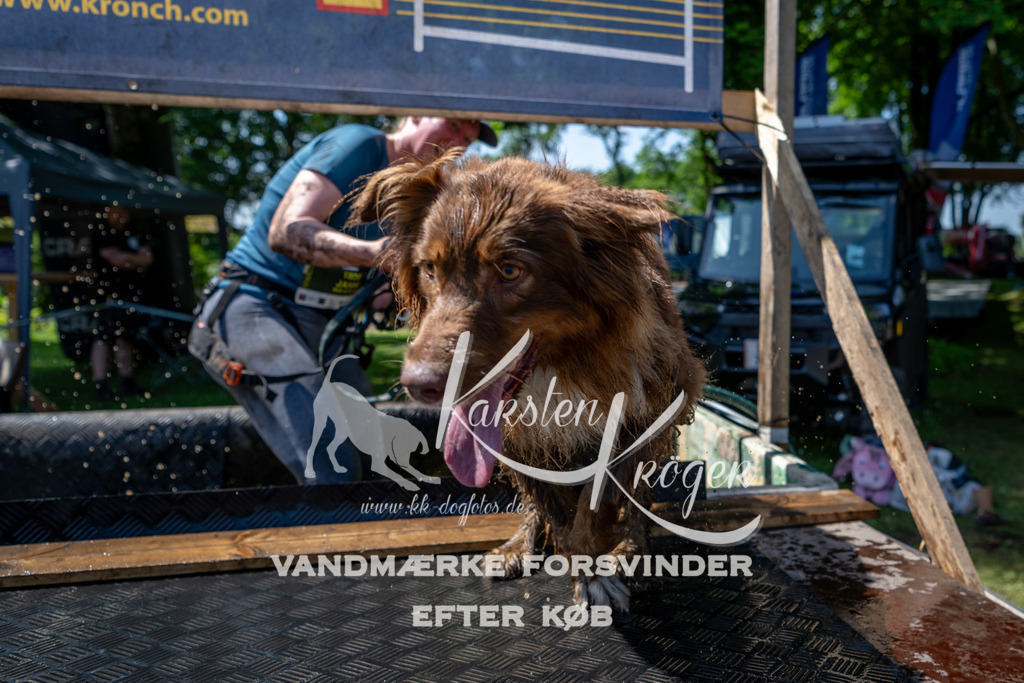 1222_ZZ90870 | kk-dogfotos
